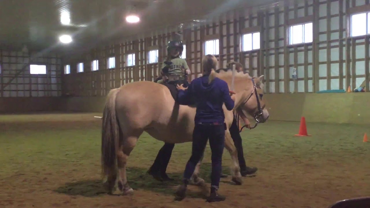 Hippotherapy with Robyn Allen
